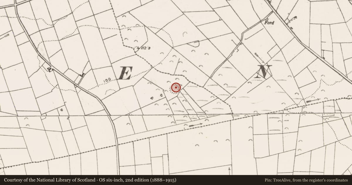 Ordnance Survey six-inch map, 2nd edition (1888–1915) covering the location of Ringfort - rath, Kilballyowen, County Clare, with a pin at the register's coordinates
