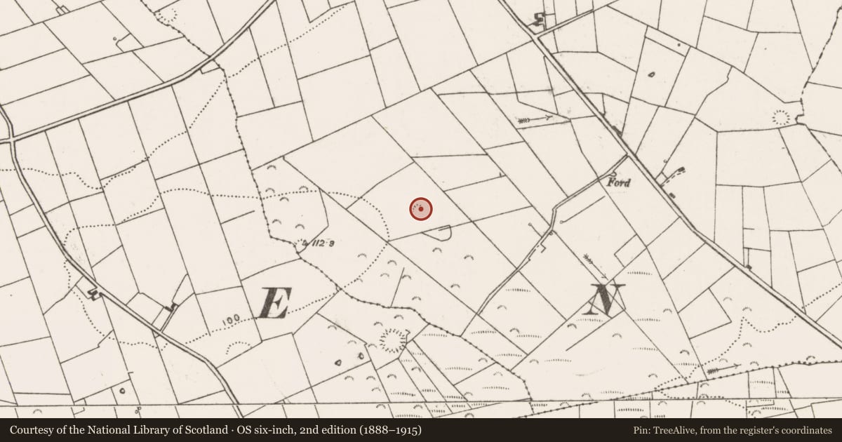 Ordnance Survey six-inch map, 2nd edition (1888–1915) covering the location of Ringfort - rath, Cross, County Clare, with a pin at the register's coordinates