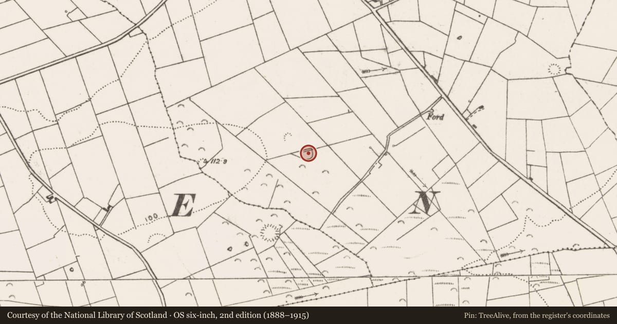 Ordnance Survey six-inch map, 2nd edition (1888–1915) covering the location of Ringfort - rath, Cross, County Clare, with a pin at the register's coordinates