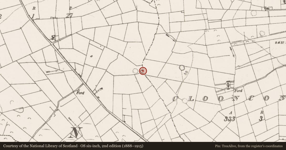 Ordnance Survey six-inch map, 2nd edition (1888–1915) covering the location of Ringfort - rath, Cloonconeen, Cross, County Clare, with a pin at the register's coordinates