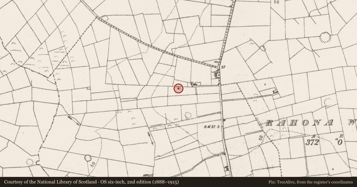 Ordnance Survey six-inch map, 2nd edition (1888–1915) covering the location of Ringfort - rath, Cloonconeen, County Clare, with a pin at the register's coordinates