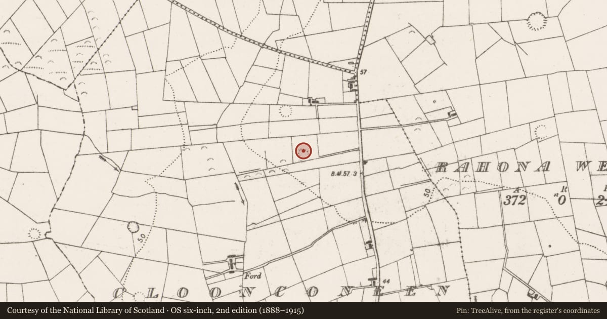 Ordnance Survey six-inch map, 2nd edition (1888–1915) covering the location of Ringfort - rath, Cloonconeen, County Clare, with a pin at the register's coordinates