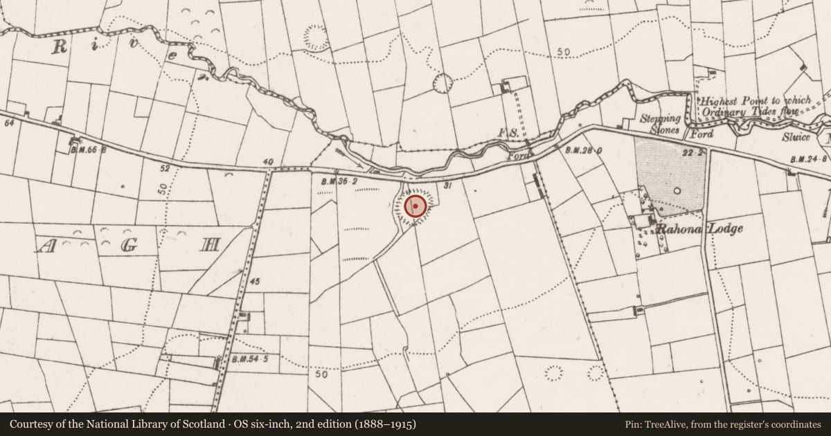 Ordnance Survey six-inch map, 2nd edition (1888–1915) covering the location of Ringfort - rath, Rahona West, County Clare, with a pin at the register's coordinates