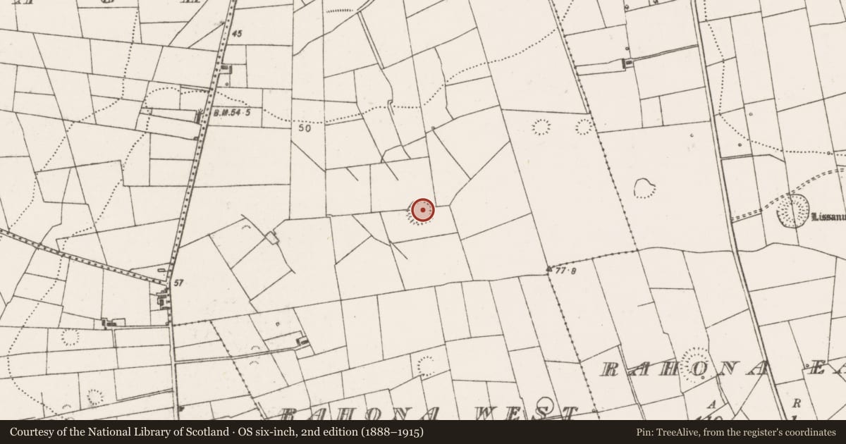 Ordnance Survey six-inch map, 2nd edition (1888–1915) covering the location of Ringfort - rath, Rahona West, County Clare, with a pin at the register's coordinates