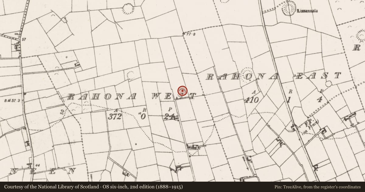 Ordnance Survey six-inch map, 2nd edition (1888–1915) covering the location of Ringfort - rath, Rahona West, County Clare, with a pin at the register's coordinates