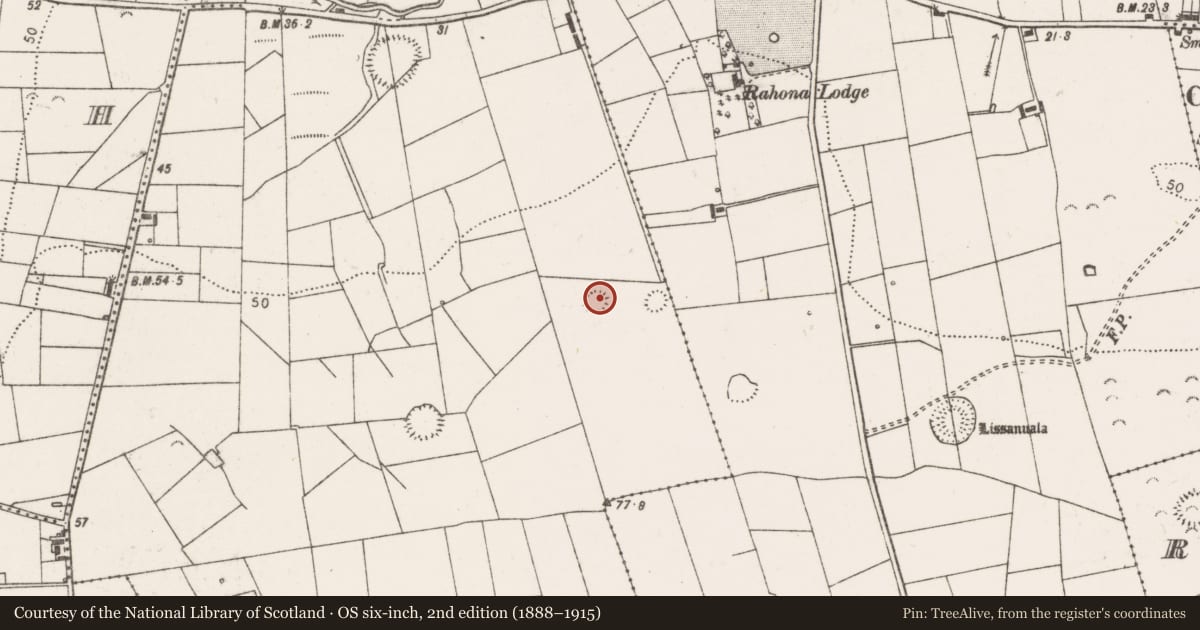 Ordnance Survey six-inch map, 2nd edition (1888–1915) covering the location of Ringfort - rath, Rahona West, County Clare, with a pin at the register's coordinates