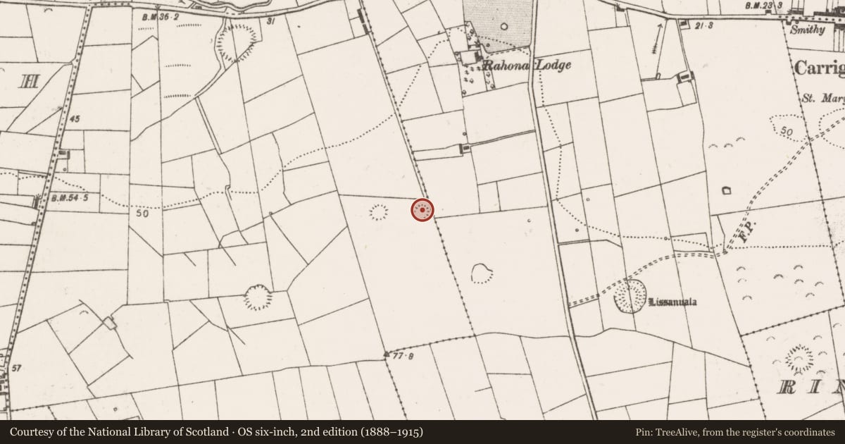 Ordnance Survey six-inch map, 2nd edition (1888–1915) covering the location of Ringfort - rath, Rahona West, County Clare, with a pin at the register's coordinates