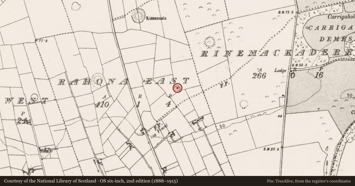 Ordnance Survey six-inch map, 2nd edition (1888–1915) covering the location of Ringfort - rath, Rahona East, County Clare, with a pin at the register's coordinates