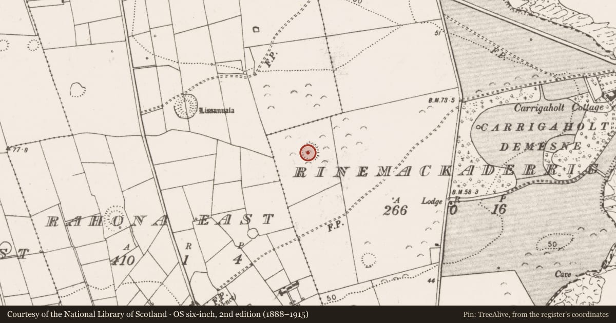 Ordnance Survey six-inch map, 2nd edition (1888–1915) covering the location of Ringfort - rath, Rinemackaderrig, County Clare, with a pin at the register's coordinates