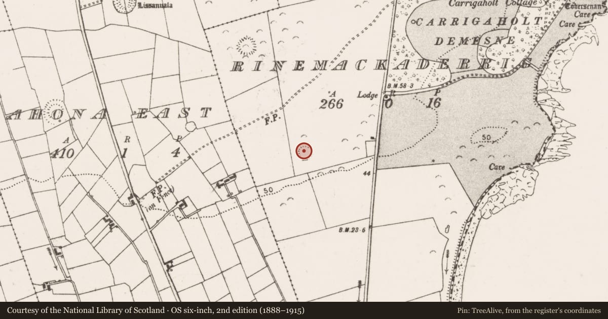 Ordnance Survey six-inch map, 2nd edition (1888–1915) covering the location of Ringfort - rath, Rinemackaderrig, County Clare, with a pin at the register's coordinates