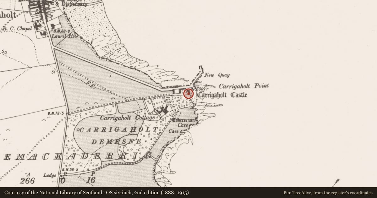 Ordnance Survey six-inch map, 2nd edition (1888–1915) covering the location of Castle - tower house, Rinemackaderrig, County Clare, with a pin at the register's coordinates