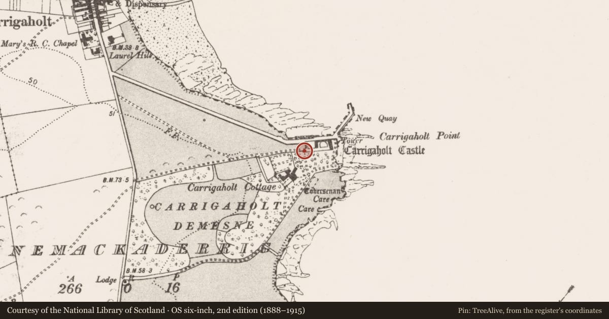 Ordnance Survey six-inch map, 2nd edition (1888–1915) covering the location of Gateway, Rinemackaderrig, County Clare, with a pin at the register's coordinates