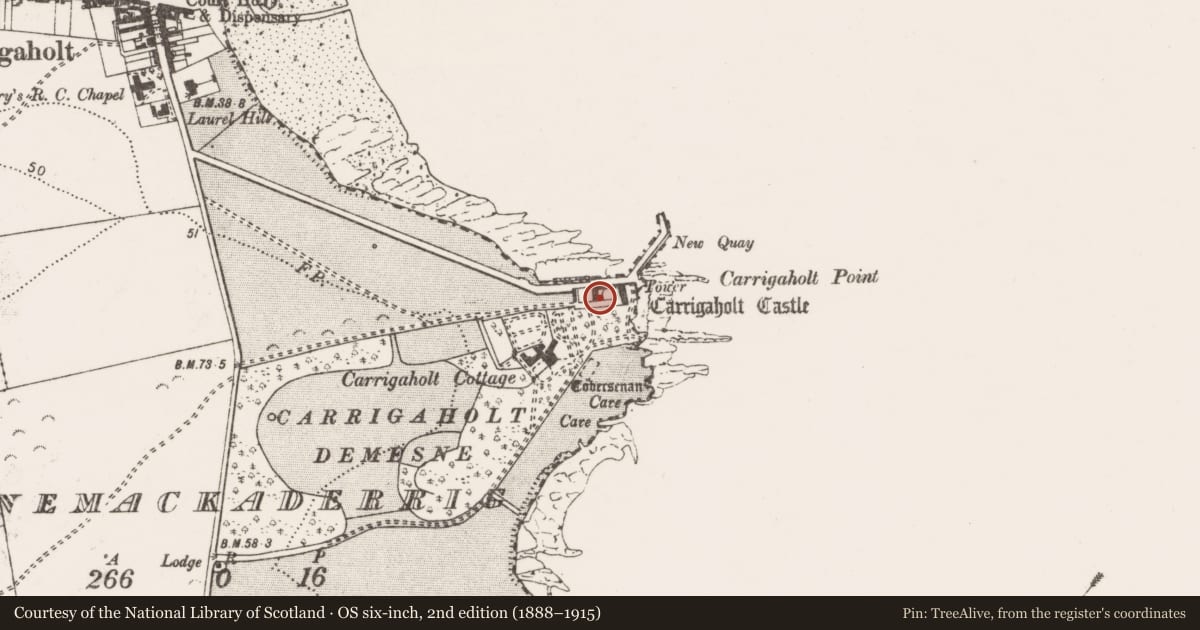 Ordnance Survey six-inch map, 2nd edition (1888–1915) covering the location of Bawn, Rinemackaderrig, County Clare, with a pin at the register's coordinates