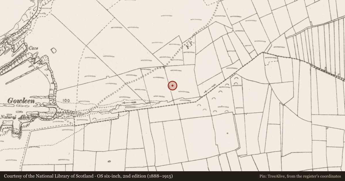 Ordnance Survey six-inch map, 2nd edition (1888–1915) covering the location of Ringfort - rath, Trusklieve, County Clare, with a pin at the register's coordinates