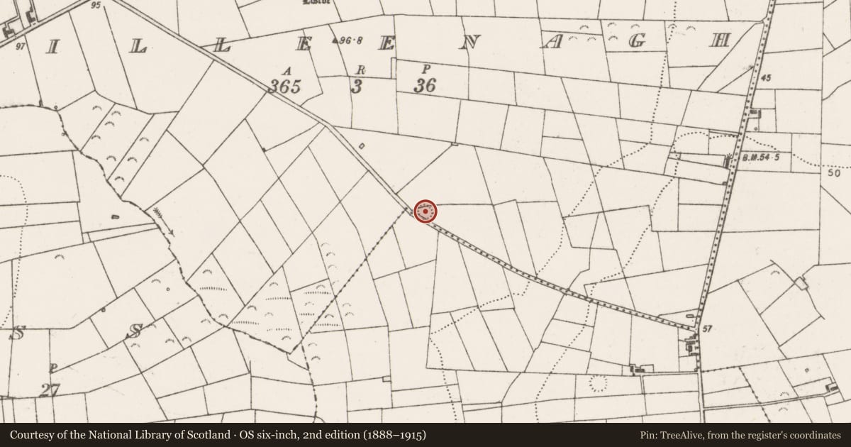 Ordnance Survey six-inch map, 2nd edition (1888–1915) covering the location of Hut site, Killeenagh, County Clare, with a pin at the register's coordinates