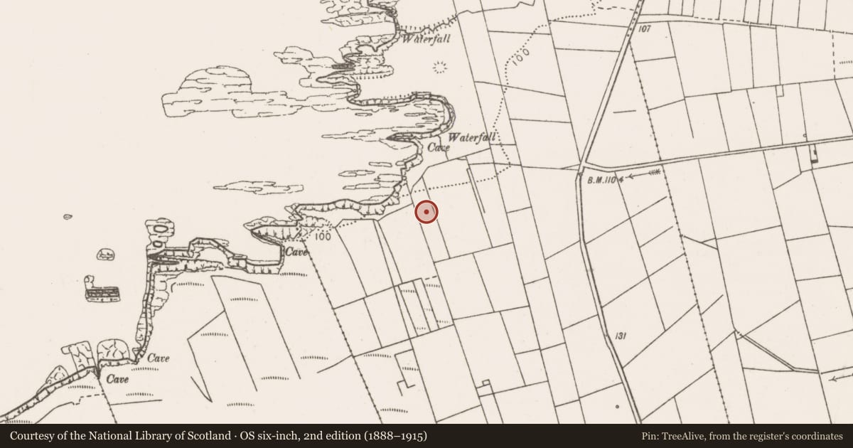 Ordnance Survey six-inch map, 2nd edition (1888–1915) covering the location of Barrow - ring-barrow, Oughterard, County Clare, with a pin at the register's coordinates