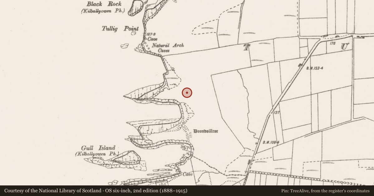 Ordnance Survey six-inch map, 2nd edition (1888–1915) covering the location of Barrow - ring-barrow, Tullig, County Clare, with a pin at the register's coordinates