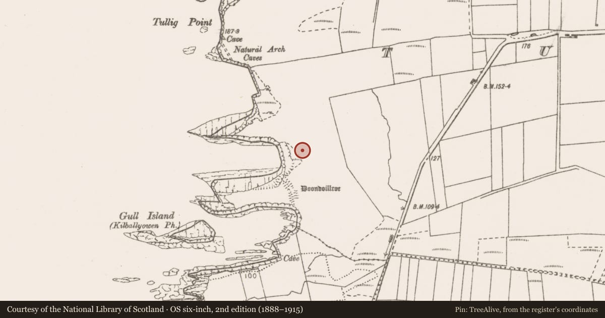 Ordnance Survey six-inch map, 2nd edition (1888–1915) covering the location of Barrow - ring-barrow, Tullig, County Clare, with a pin at the register's coordinates