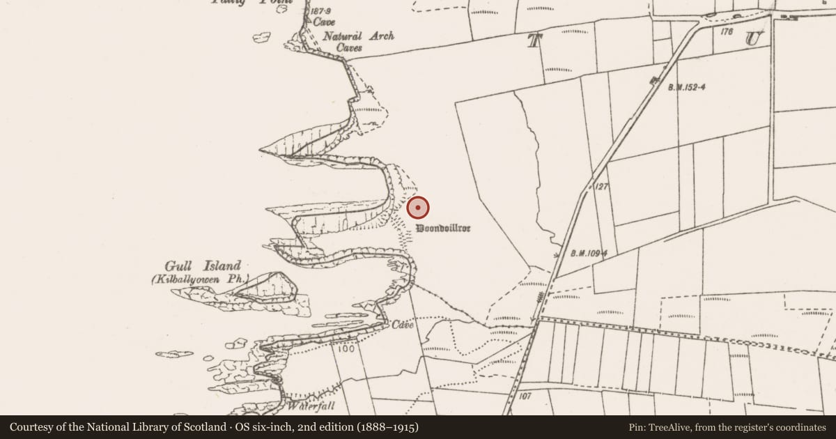Ordnance Survey six-inch map, 2nd edition (1888–1915) covering the location of Barrow - ring-barrow, Tullig, County Clare, with a pin at the register's coordinates