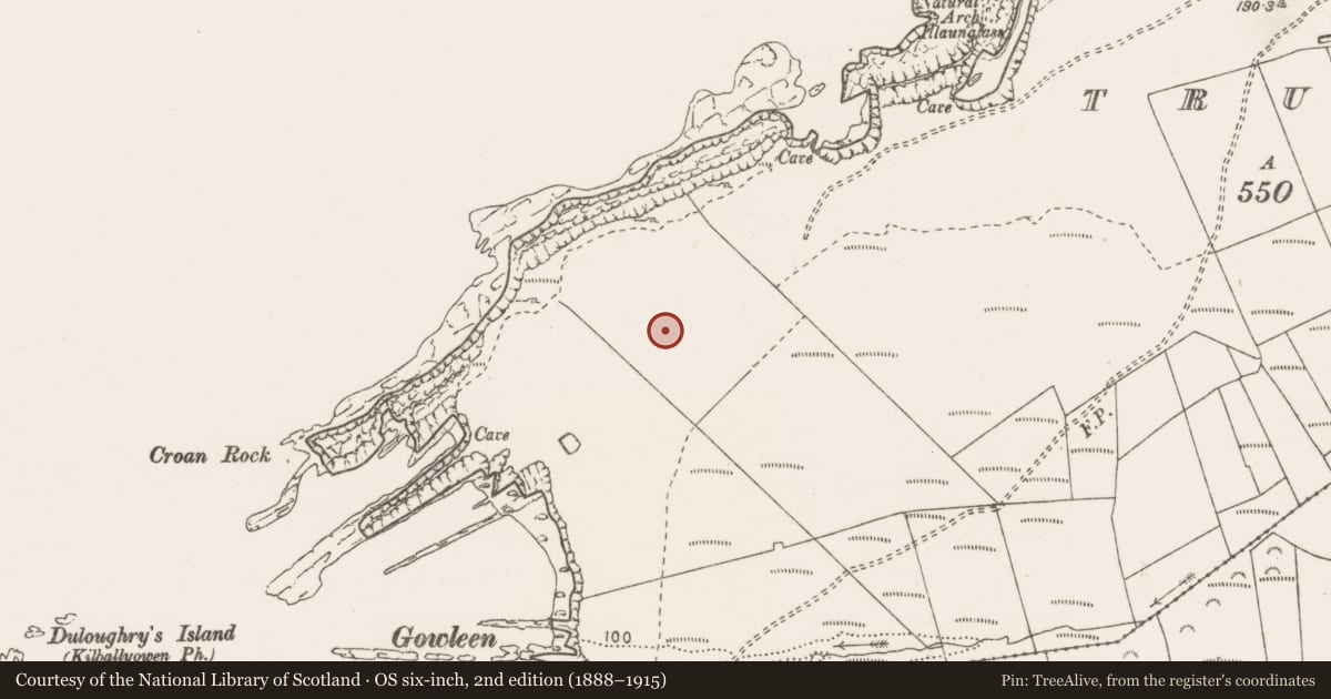 Ordnance Survey six-inch map, 2nd edition (1888–1915) covering the location of Barrow - ring-barrow, Trusklieve, County Clare, with a pin at the register's coordinates