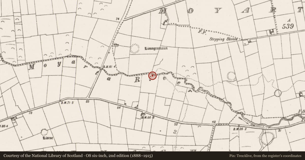 Ordnance Survey six-inch map, 2nd edition (1888–1915) covering the location of Ringfort - rath, Killeenagh, County Clare, with a pin at the register's coordinates