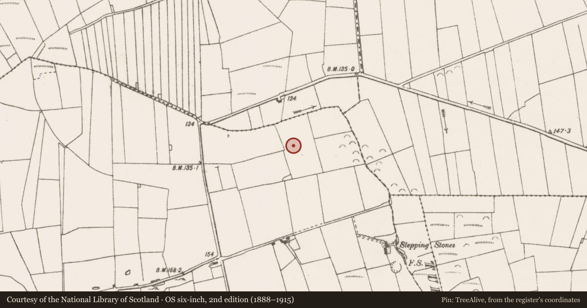 Ordnance Survey six-inch map, 2nd edition (1888–1915) covering the location of Ringfort - rath, Tullig, County Clare, with a pin at the register's coordinates