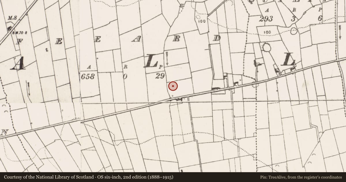 Ordnance Survey six-inch map, 2nd edition (1888–1915) covering the location of Enclosure, Feeard, County Clare, with a pin at the register's coordinates