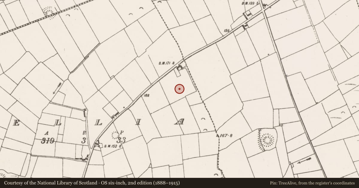 Ordnance Survey six-inch map, 2nd edition (1888–1915) covering the location of Enclosure, Bellia, County Clare, with a pin at the register's coordinates