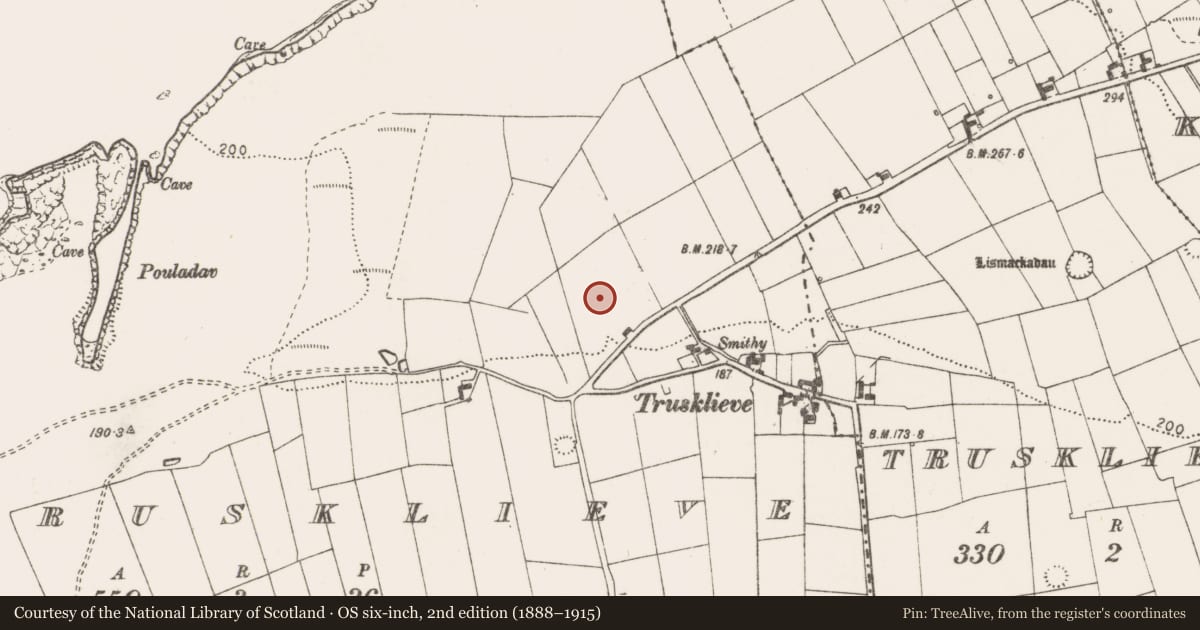 Ordnance Survey six-inch map, 2nd edition (1888–1915) covering the location of House - indeterminate date, Trusklieve, County Clare, with a pin at the register's coordinates
