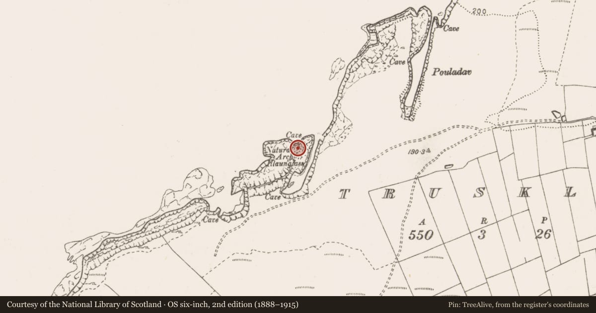 Ordnance Survey six-inch map, 2nd edition (1888–1915) covering the location of Promontory fort - coastal, Trusklieve, County Clare, with a pin at the register's coordinates