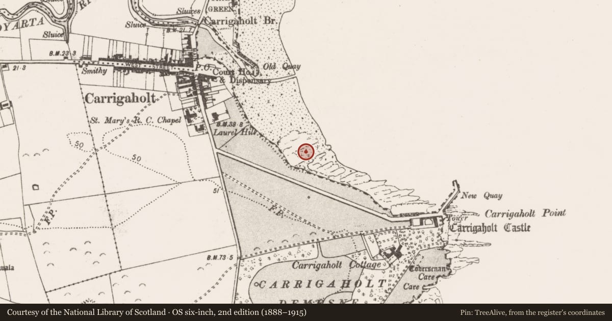 Ordnance Survey six-inch map, 2nd edition (1888–1915) covering the location of Pier/Jetty, Rinemackaderrig, County Clare, with a pin at the register's coordinates