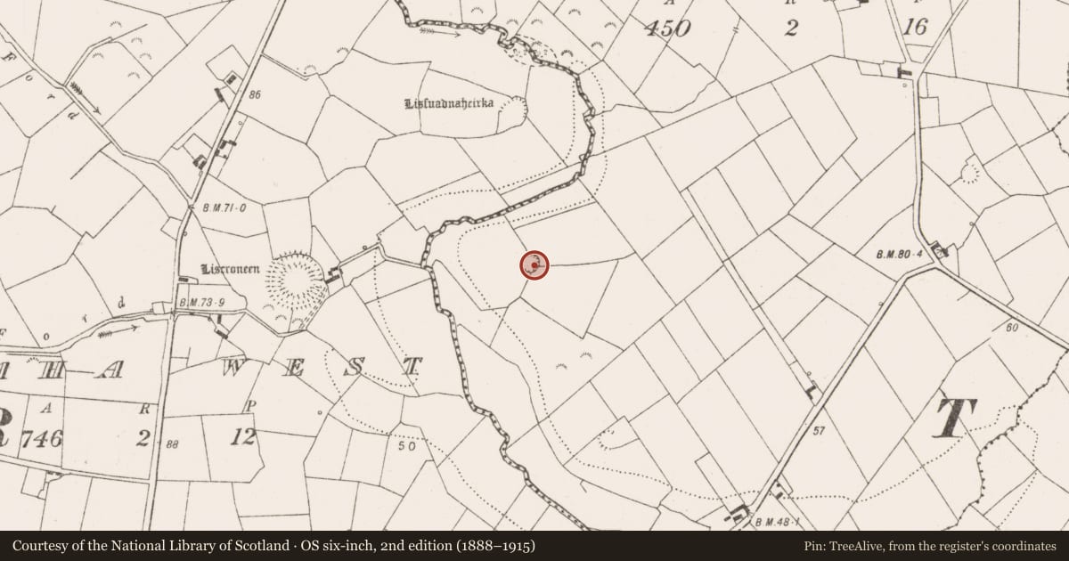 Ordnance Survey six-inch map, 2nd edition (1888–1915) covering the location of Ringfort - rath, Doonaha East, County Clare, with a pin at the register's coordinates
