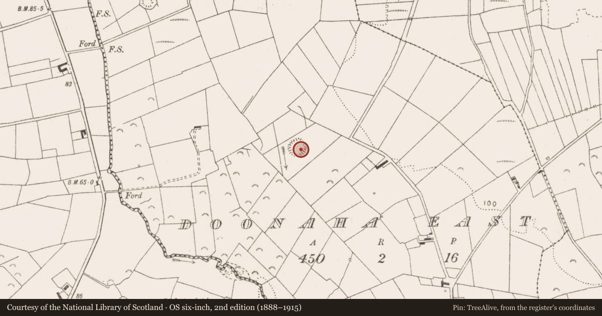 Ordnance Survey six-inch map, 2nd edition (1888–1915) covering the location of Ringfort - rath, Doonaha East, County Clare, with a pin at the register's coordinates