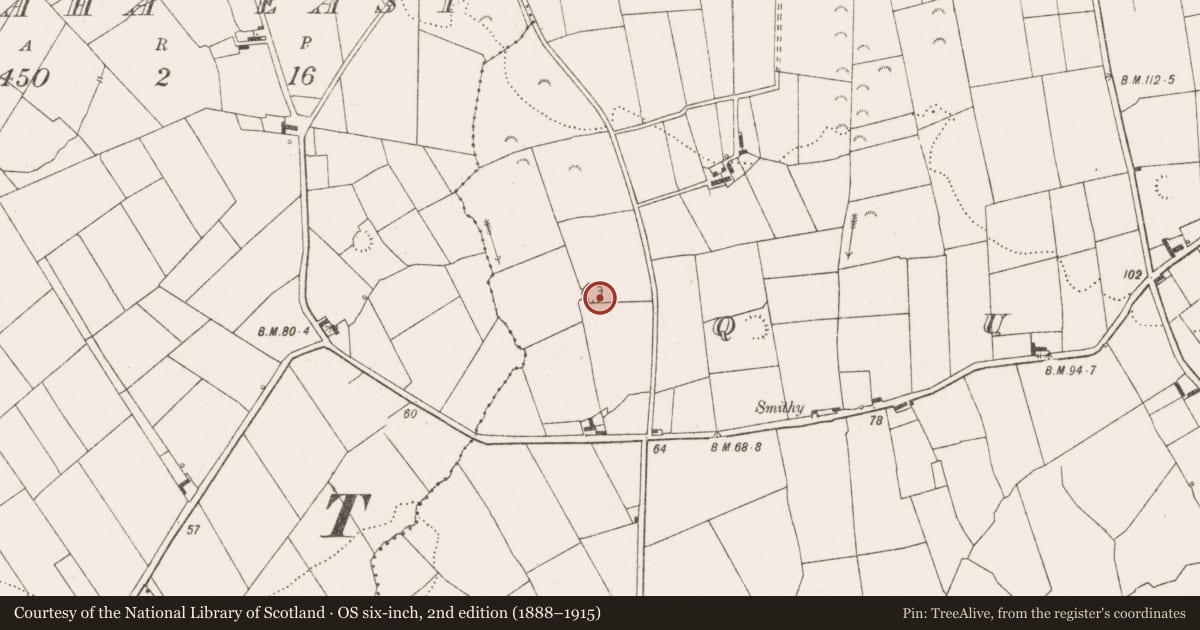 Ordnance Survey six-inch map, 2nd edition (1888–1915) covering the location of Ringfort - rath, Querrin, County Clare, with a pin at the register's coordinates