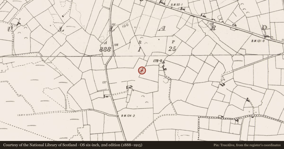 Ordnance Survey six-inch map, 2nd edition (1888–1915) covering the location of Ringfort - rath, Tullaroe, County Clare, with a pin at the register's coordinates