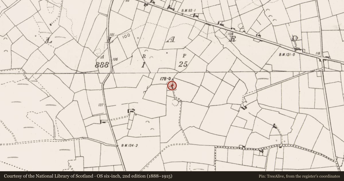 Ordnance Survey six-inch map, 2nd edition (1888–1915) covering the location of Ringfort - rath, Tullaroe, County Clare, with a pin at the register's coordinates
