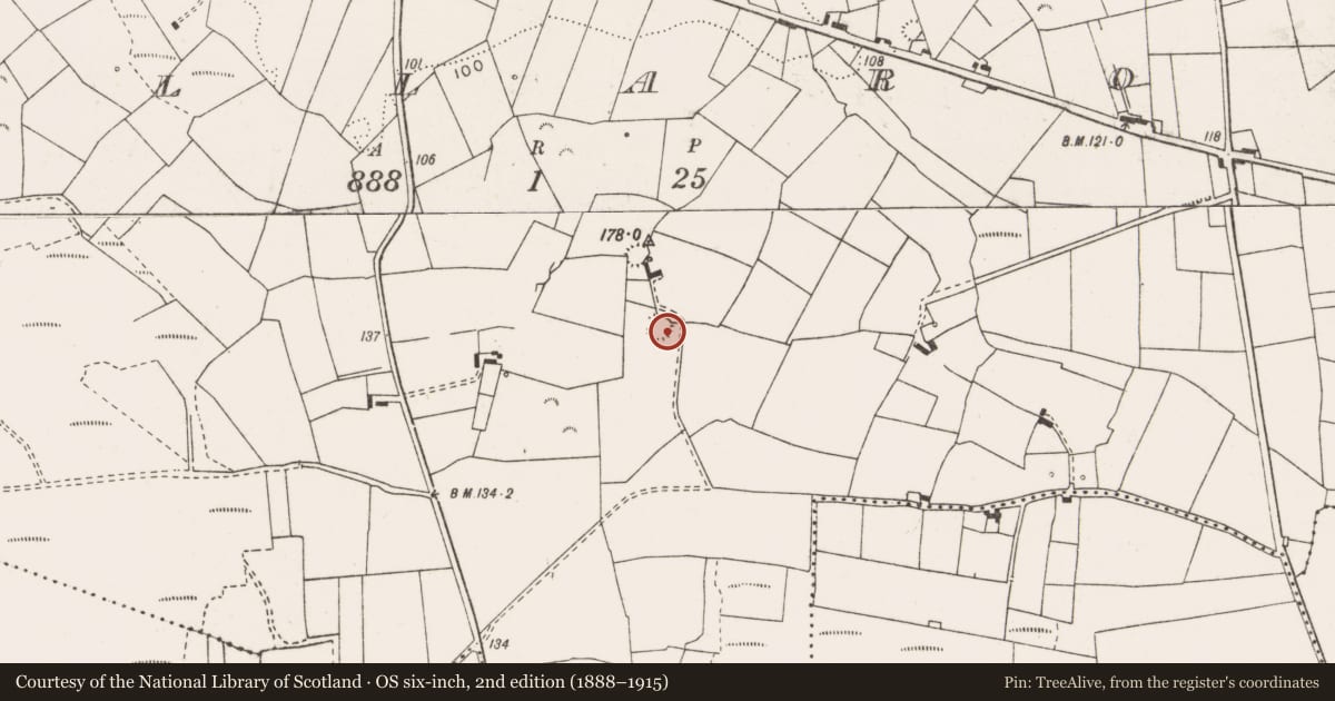 Ordnance Survey six-inch map, 2nd edition (1888–1915) covering the location of Ringfort - rath, Tullaroe, County Clare, with a pin at the register's coordinates
