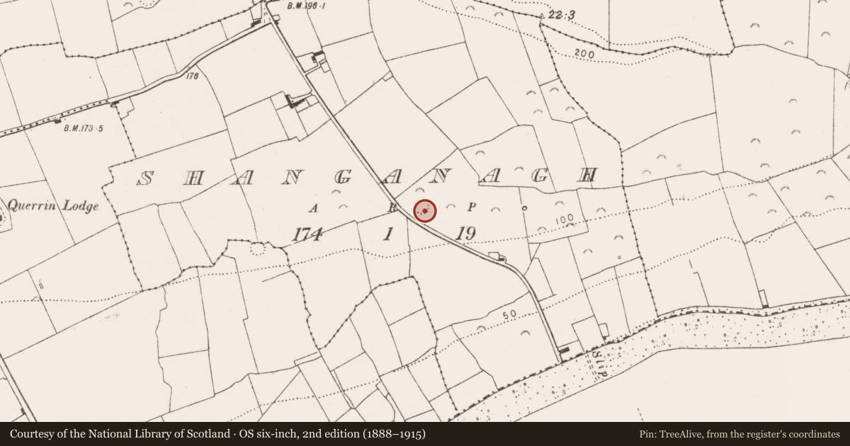 Ordnance Survey six-inch map, 2nd edition (1888–1915) covering the location of Ringfort - rath, Shanganagh, County Clare, with a pin at the register's coordinates