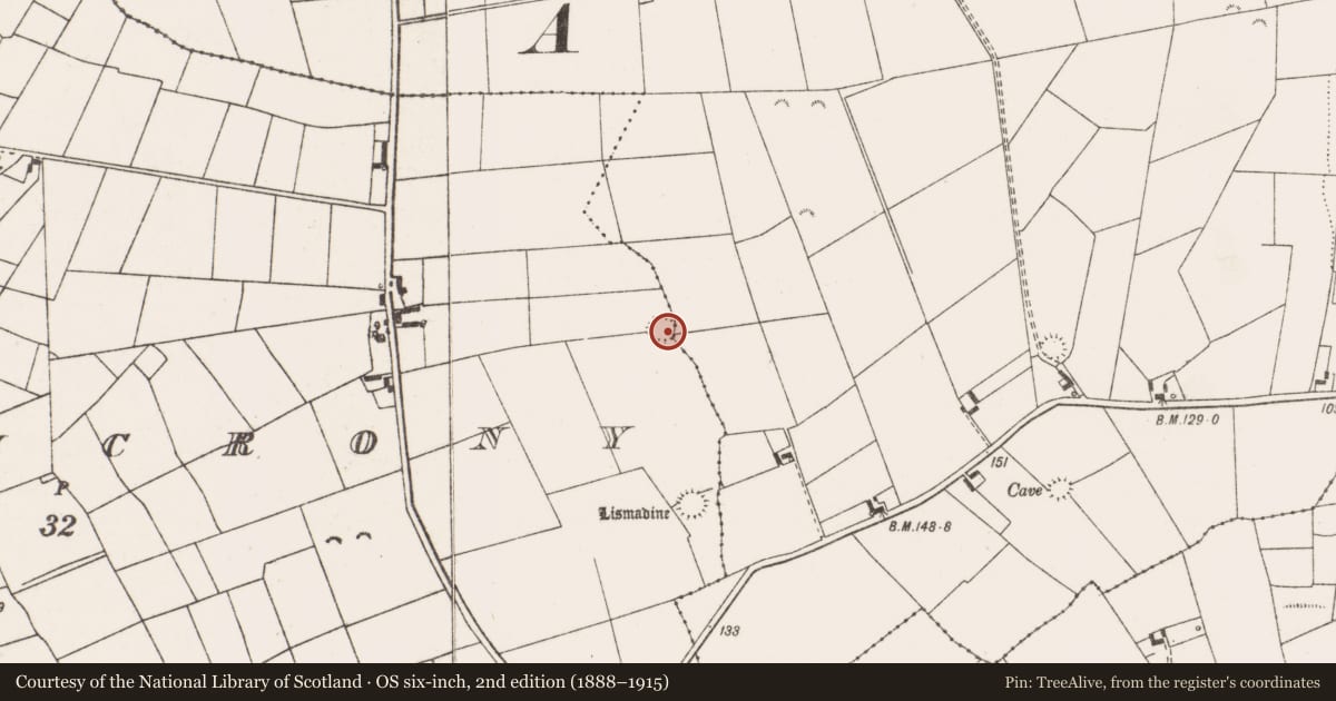Ordnance Survey six-inch map, 2nd edition (1888–1915) covering the location of Ringfort - rath, Lisheencrony, County Clare, with a pin at the register's coordinates