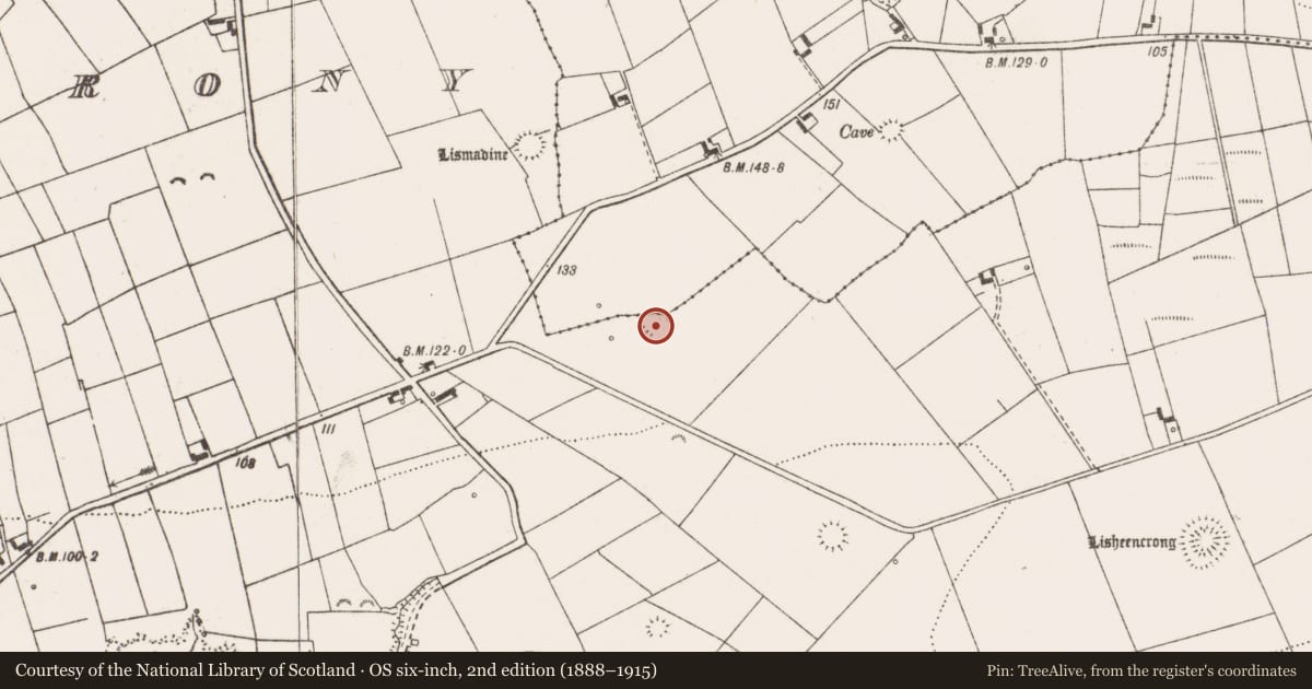 Ordnance Survey six-inch map, 2nd edition (1888–1915) covering the location of Ringfort - rath, Lisheencrony, County Clare, with a pin at the register's coordinates