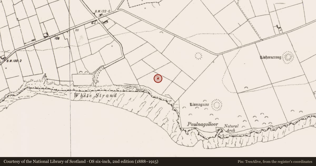 Ordnance Survey six-inch map, 2nd edition (1888–1915) covering the location of Ringfort - rath, Lisheencrony, County Clare, with a pin at the register's coordinates