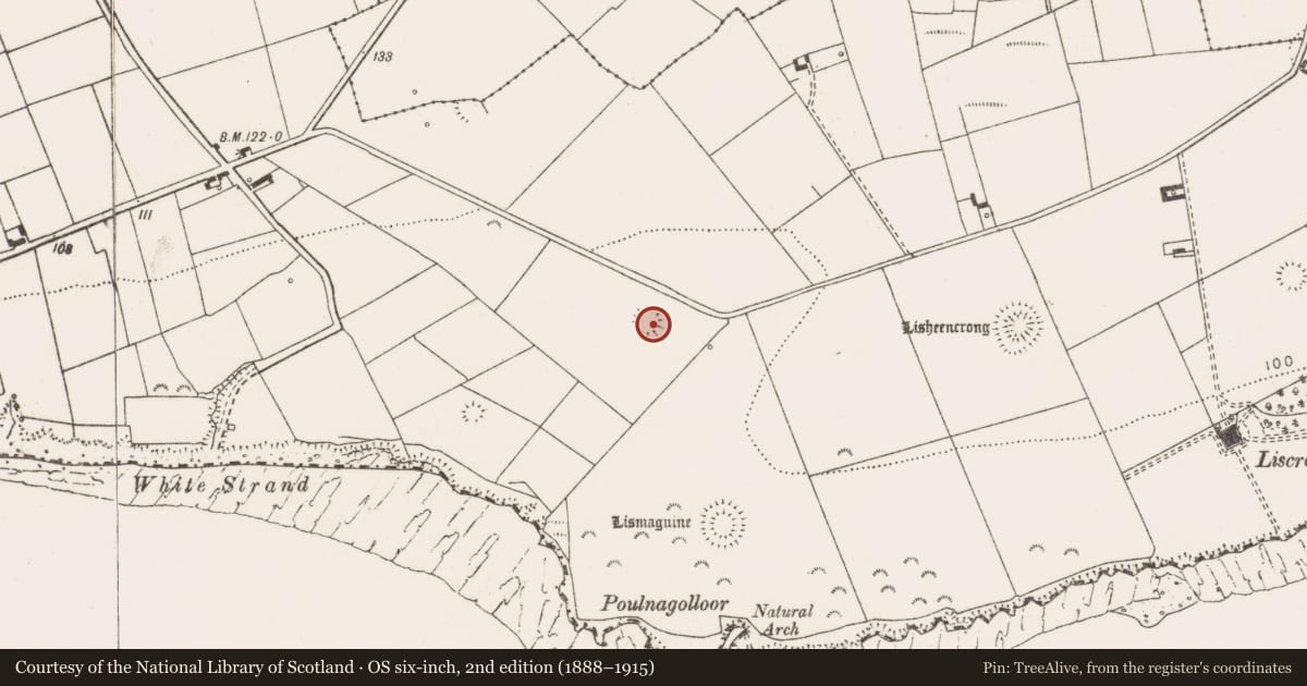 Ordnance Survey six-inch map, 2nd edition (1888–1915) covering the location of Ringfort - rath, Lisheencrony, County Clare, with a pin at the register's coordinates
