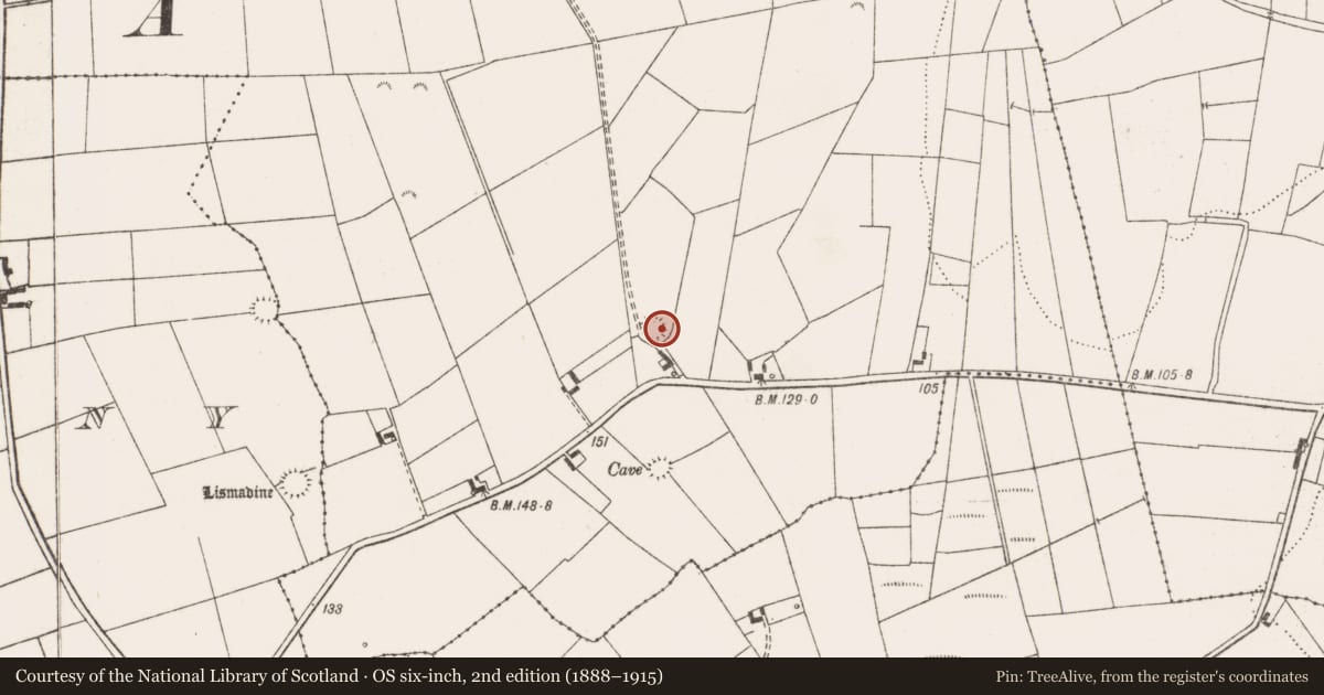 Ordnance Survey six-inch map, 2nd edition (1888–1915) covering the location of Ringfort - rath, Lisheenfurroor, County Clare, with a pin at the register's coordinates