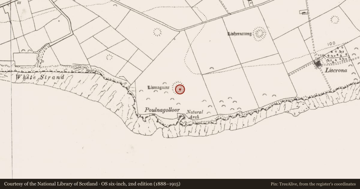 Ordnance Survey six-inch map, 2nd edition (1888–1915) covering the location of Ringfort - rath, Lisheencrony, County Clare, with a pin at the register's coordinates