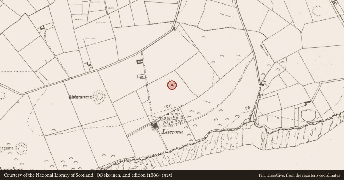 Ordnance Survey six-inch map, 2nd edition (1888–1915) covering the location of Ringfort - rath, Lisheencrony, County Clare, with a pin at the register's coordinates