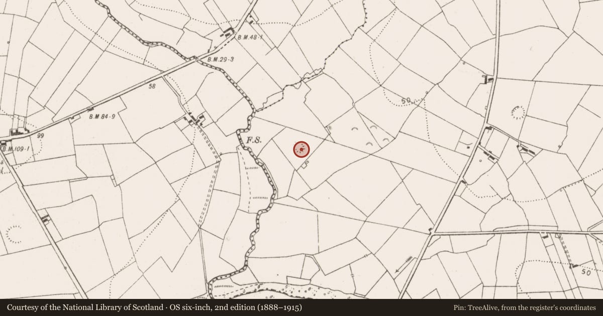 Ordnance Survey six-inch map, 2nd edition (1888–1915) covering the location of Ringfort - rath, Querrin, County Clare, with a pin at the register's coordinates
