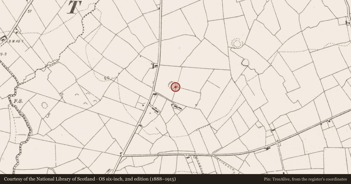 Ordnance Survey six-inch map, 2nd edition (1888–1915) covering the location of Ringfort - rath, Querrin, County Clare, with a pin at the register's coordinates