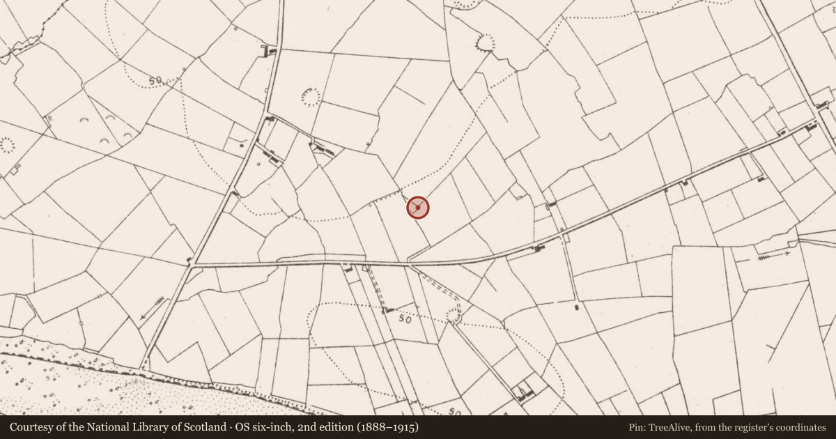 Ordnance Survey six-inch map, 2nd edition (1888–1915) covering the location of Ringfort - rath, Querrin, County Clare, with a pin at the register's coordinates