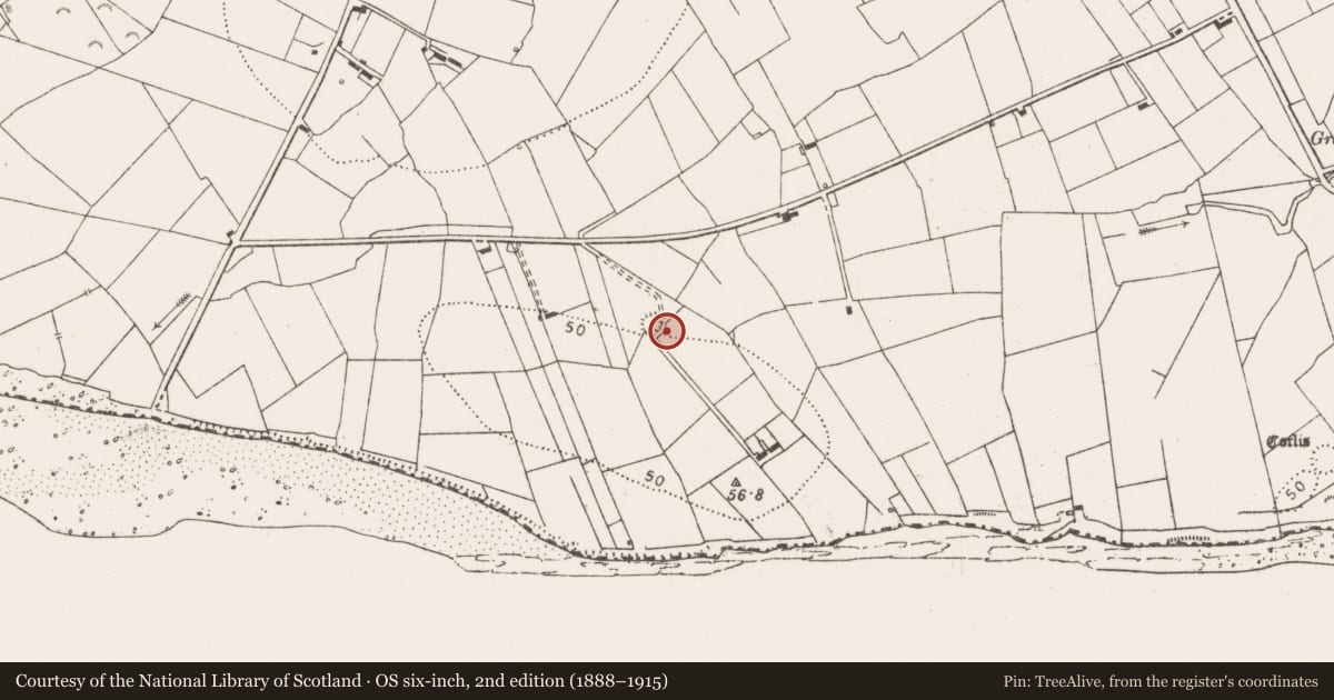 Ordnance Survey six-inch map, 2nd edition (1888–1915) covering the location of Ringfort - rath, Querrin, County Clare, with a pin at the register's coordinates