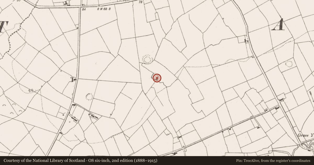 Ordnance Survey six-inch map, 2nd edition (1888–1915) covering the location of Ringfort - rath, Querrin, County Clare, with a pin at the register's coordinates